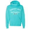 Crescent City Sunball Officially Licensed | Adult Hoodie - S & K Collective