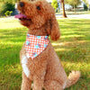 Pup Cup Plaid | Dog Bandana