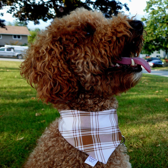 Fall Plaid | Dog Bandana