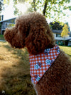 Pup Cup Plaid | Dog Bandana