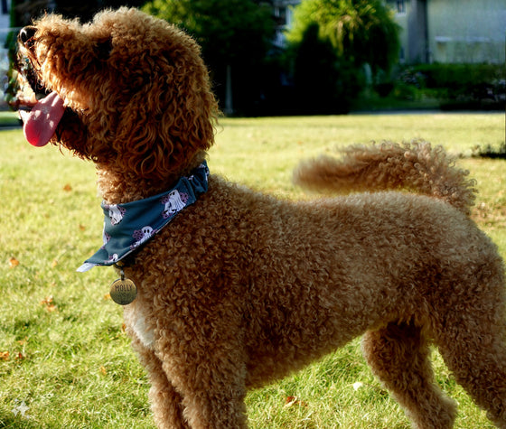 Floral Ghosts | Dog Bandana