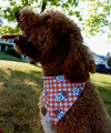 Pup Cup Plaid | Dog Bandana