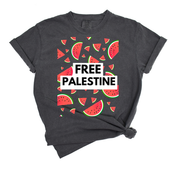 Free Palestine Watermelon | Adult T-Shirt