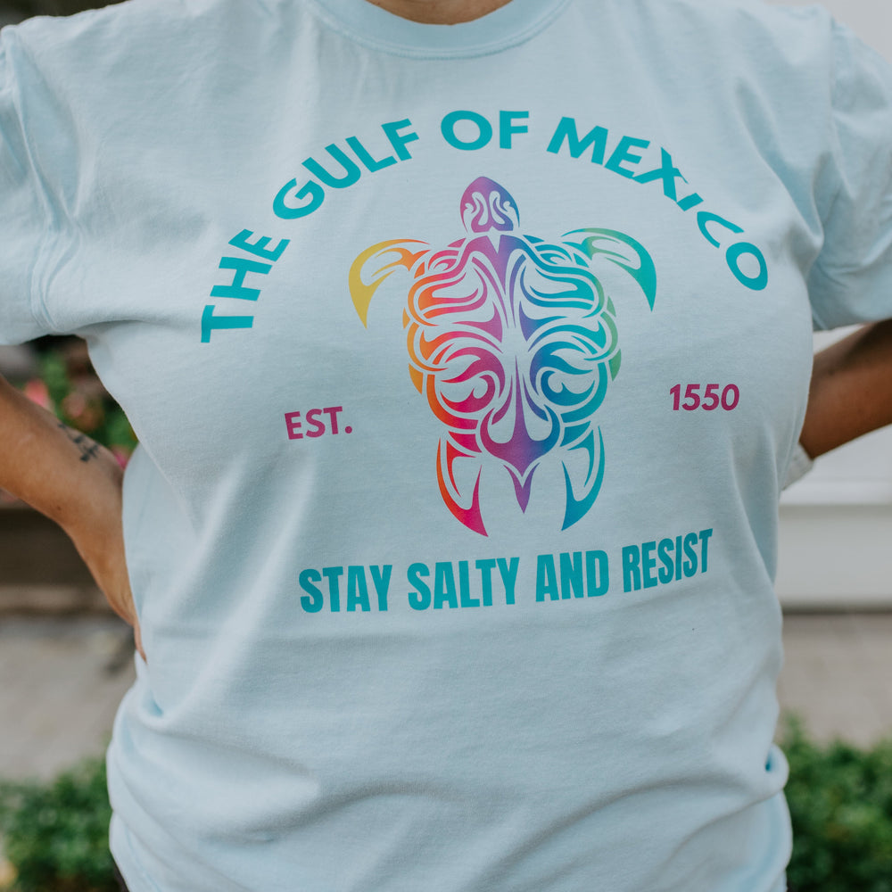 Light blue t-shirt with a colorful turtle design and text on a person wearing it.