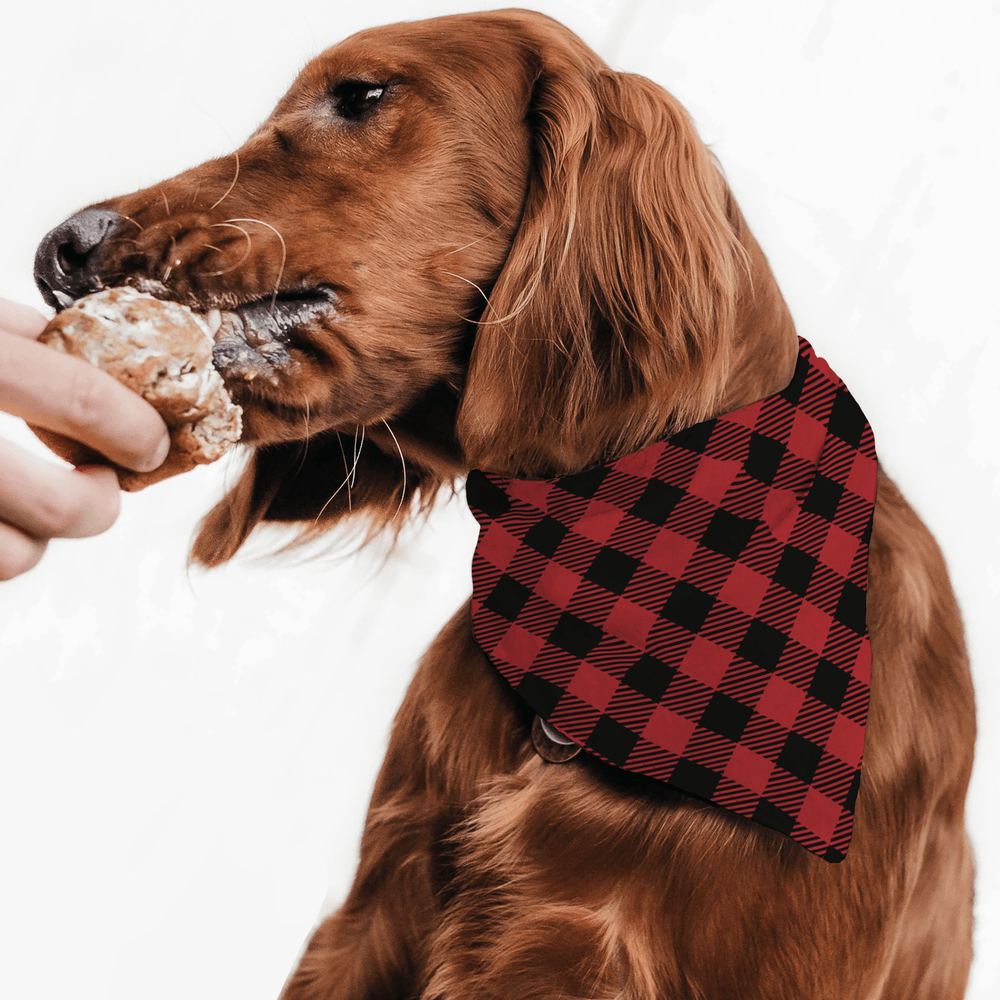 
                  
                    Dear Santa I tried Buffalo Plaid | Pet Bandana - S & K Collective
                  
                
