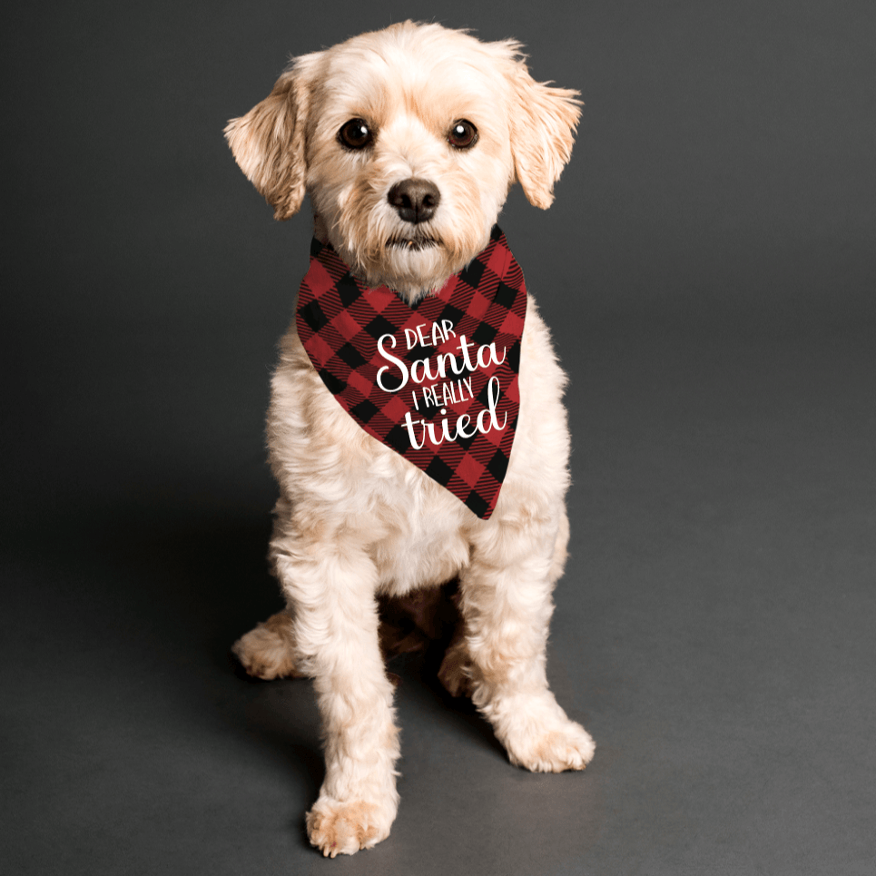 Dear Santa I tried Buffalo Plaid | Pet Bandana - S & K Collective