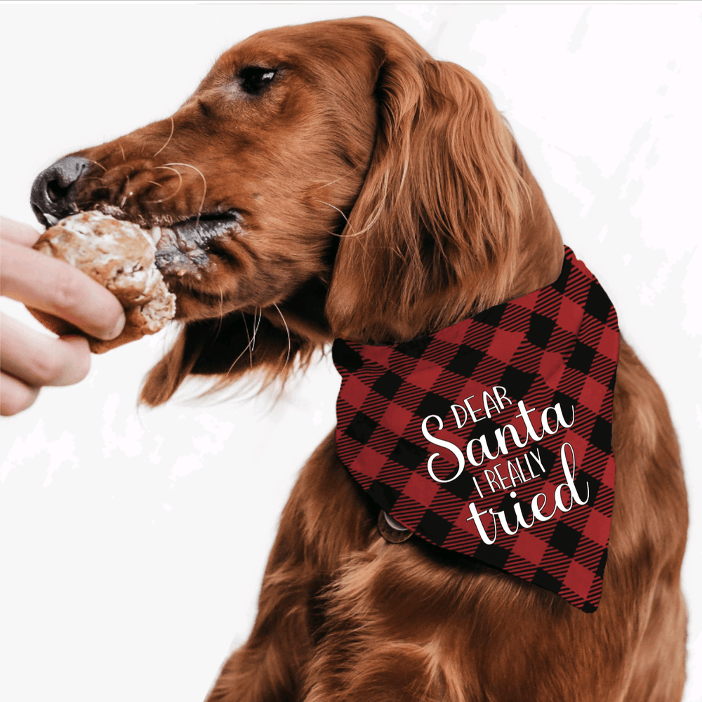 Dear Santa I tried Buffalo Plaid | Pet Bandana - S & K Collective