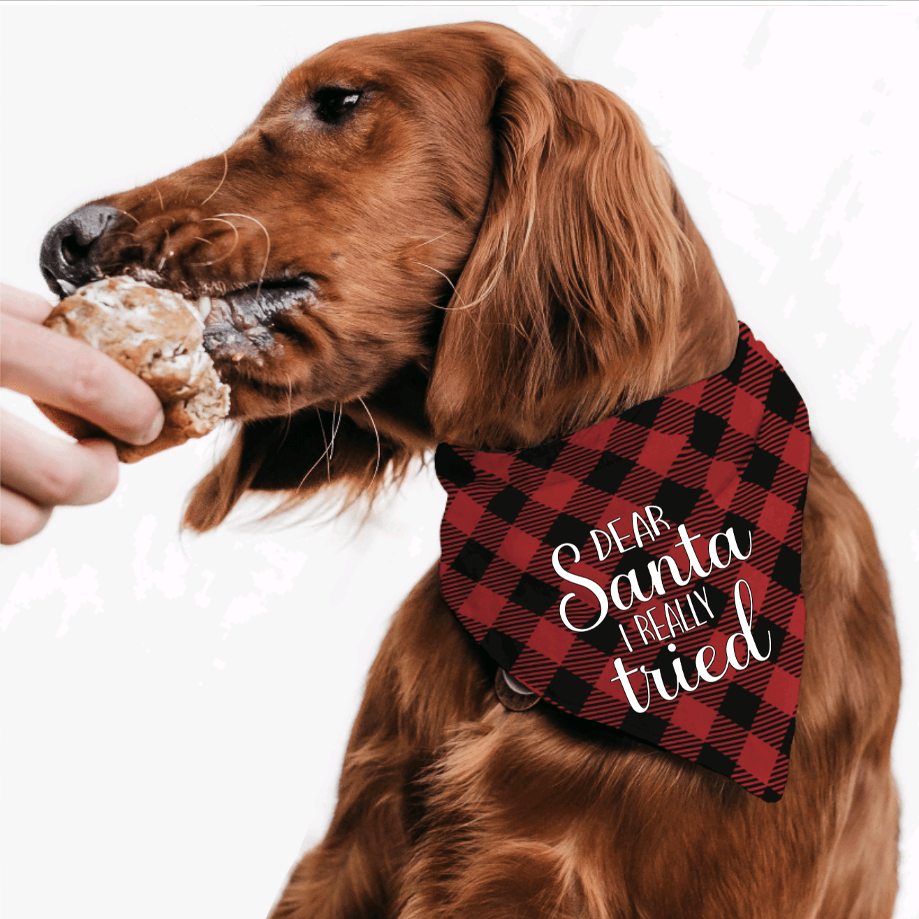 Dear Santa I tried Buffalo Plaid | Pet Bandana - S & K Collective
