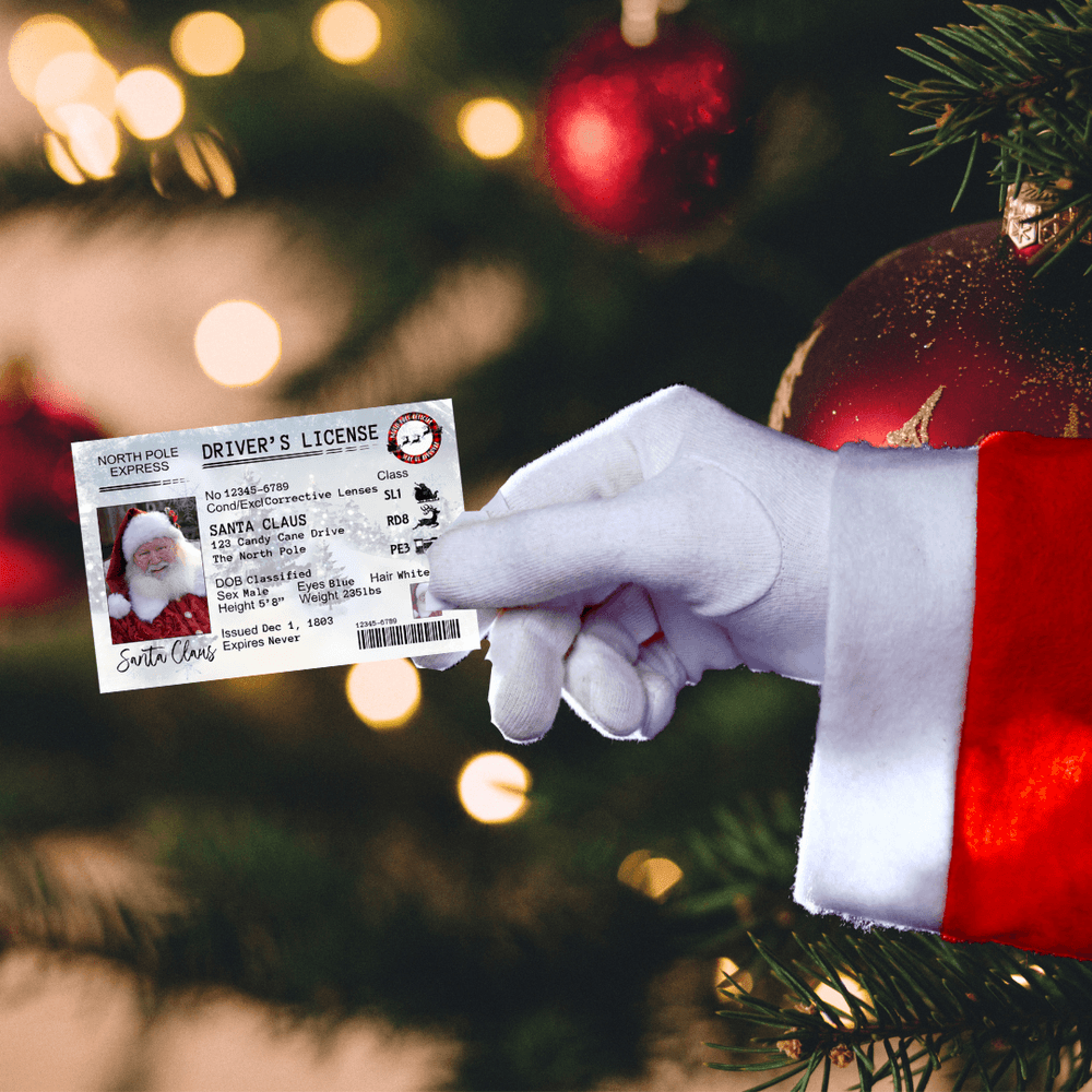 Santa License - S & K Collective